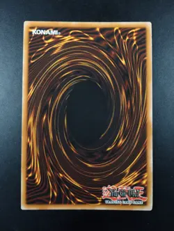 YUGIOH 2002 | SOUL EXCHANGE | SDY-041 | NORTH AMERICAN OLD PRINT | NEAR MINT - Image 2