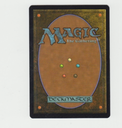 Scion of Oona *Lorwyn* MTG Magic the Gathering - Image 2