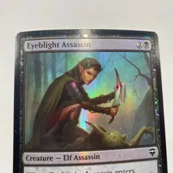 Eyeblight Assasin Card Signed By Dan Scott MTG Artist Proof - Image 2