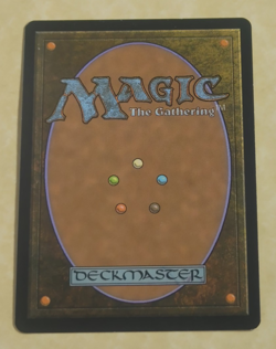 SNOW MERCY LP -- Happy Holidays 2010 MTG -- See Photos - Image 2