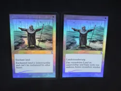 2x FOIL Consecrate Land - Timespiral TIMESHIFTED - English German - OOP MTG - Image 1