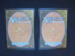 2x FOIL Consecrate Land - Timespiral TIMESHIFTED - English German - OOP MTG - Image 2