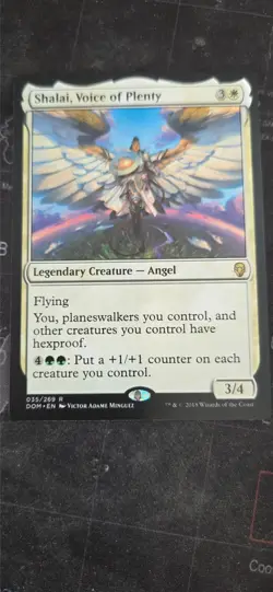 MtG Shalai Voice of Plenty DOM - Image 1