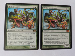 2 Protean Hydra MTG NM free shipping with tracking - Image 1