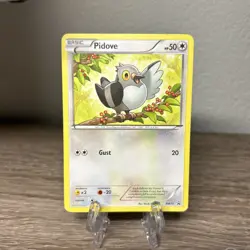 BW15 Pidove - Black & White Promo Card Pokemon TCG Toys-R-Us Mystery Egg - DMG - Image 1