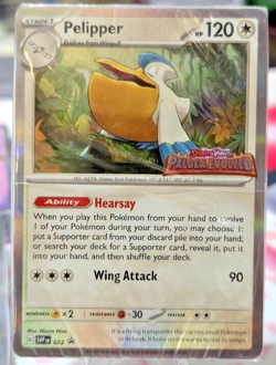 All 4 Pokemon TCG Paldea Evolved Build And Battle Promo Set Sealed Collection - Image 2