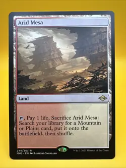 x1 Arid Mesa | Modern Horizons 2 (244/303) | NM | Magic MTG [freshpullsco] - Image 1