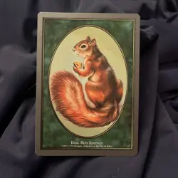 Squirrel Token (Unglued) NM MTG - Image 1