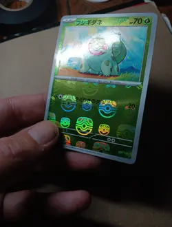 Bulbasaur - (Master Ball Pattern) 001/165 Sv2a: Pokemon Card 151 Holo (Japanese) - Image 5
