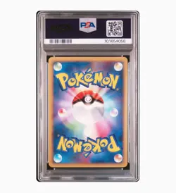 Pokemon Card Japanese 【PSA10】Pachirisu Meiji Promo - Image 2