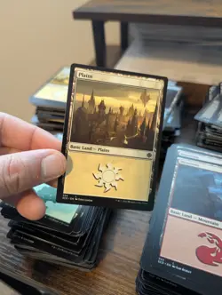 MTG 200 Basic Land Cards Lot 40 of each type unplayed Magic The Gathering bundle - Image 2