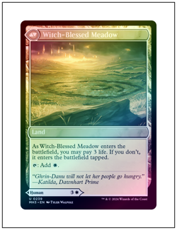 1x Witch Enchanter, Foil, Magic the Gathering MTG NM - Image 2
