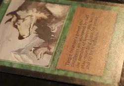 Aspect Of Wolf - Alpha Edition - Moderate Play MTG Magic Minor Edge Wear English - Image 5