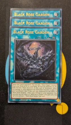 DOOD-EN055 Black Rose Garden x3 Ultra Rare 1st Ed YuGiOh Playset - Image 1