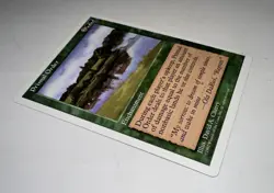 MTG X1 * Primal Order X1 NM NP MTG Core Set 5th Edition Regular SellbyCyn - Image 2