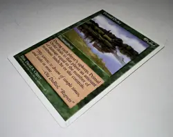 MTG X1 * Primal Order X1 NM NP MTG Core Set 5th Edition Regular SellbyCyn - Image 3