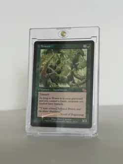 MTG FOIL Barbarian Ring, Reverent Silence, Brawn, Plains (x2) - Image 3