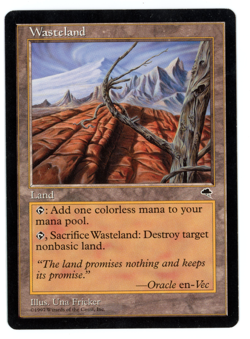 Wasteland -- MTG (SP+ Quality) - Tempest - See pics!! - Image 1