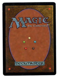 Wasteland -- MTG (SP+ Quality) - Tempest - See pics!! - Image 2