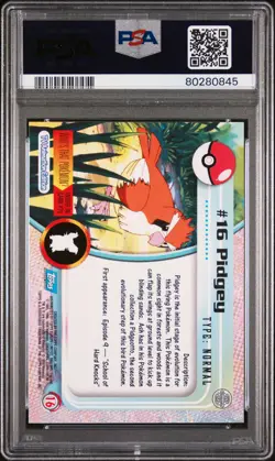 1999 Topps Pokemon Tv #16 Pidgey Foil United Kingdom PSA 9 - Image 2