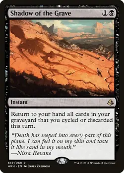 4x MTG Shadow of the Grave Amonkhet R 107/269 (LIGHTLY PLAYED) - Image 1