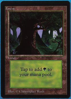 Forest (C Dark Tree) Beta NM Basic Land MAGIC MTG CARD (ID# 503825) ABUGames - Image 1