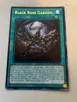 Yugioh! Black Rose Garden DOOD-EN055 ULTRA RARE IN HAND SAME DAY SHIPPING! - Image 1