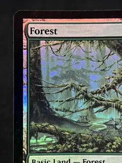 Forest #306 FOIL Champions of Kamigawa ~LP~ Magic the Gathering MTG - Image 3