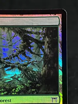 Forest #306 FOIL Champions of Kamigawa ~LP~ Magic the Gathering MTG - Image 4