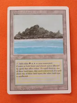Tropical Island Revised MTG Magic the Gathering 1994 - Image 1