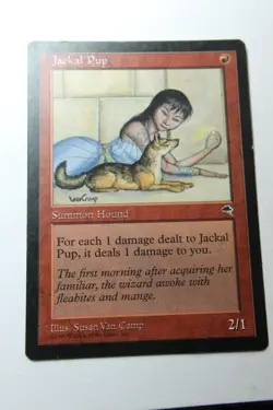 MTG Jackal Pup x1- -Tempest-Lightly Played - Image 1