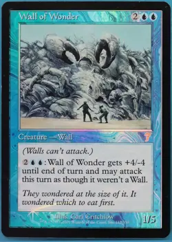 Wall of Wonder FOIL 7th Edition HEAVILY PLD Blue Rare CARD (445900) ABUGames - Image 1