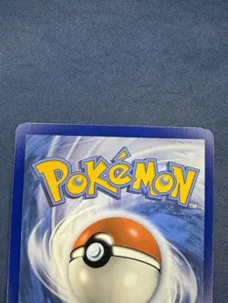Pokemon TCG Morpeko Paradox Rift 206/182 Holo Illustration Rare Card NM - Image 5