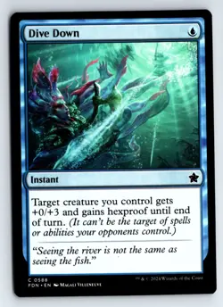 Dive Down -Foundations - Image 1