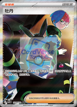 Pokemon Chinese IN STOCK Penny Gem Pack VOL2 CBB2C-10 04/04 Exclusive Penny Card - Image 1