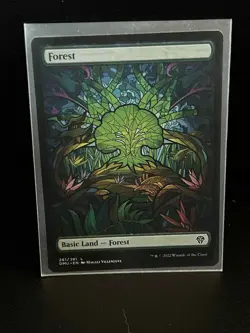 Forest (281) - Showcase Dominaria United Magic: The Gathering - Image 1