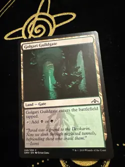 MTG Guilds of Ravnica Golgari Guildgate 249/259 NM - Image 1