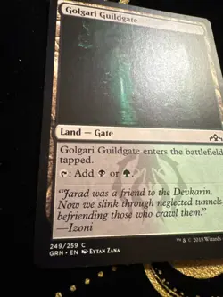 MTG Guilds of Ravnica Golgari Guildgate 249/259 NM - Image 2
