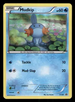 Pokemon TCG Pokemon Mudkip Mudkip Promo Holo mp - Image 1