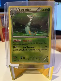 Pokemon TCG Serperior Black and White 6/114 Holo Holo Rare LP - Image 1