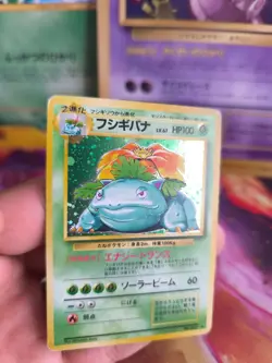 Pokemon Karte Card Bisaflor Venusaur Expansion Base Set Holo Wotc japanese Exc- - Image 2