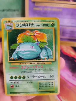 Pokemon Karte Card Bisaflor Venusaur Expansion Base Set Holo Wotc japanese Exc- - Image 4