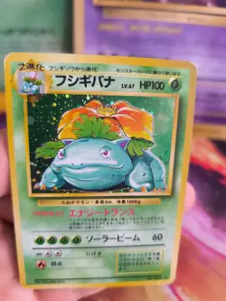 Pokemon Karte Card Bisaflor Venusaur Expansion Base Set Holo Wotc japanese Exc- - Image 5