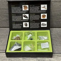 Weird N Wild Creatures Lot w/ Case, Big/Small Cards, & Fossil Collection - Image 3