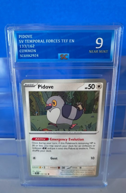 POKEMON*SV*TF*TOP GRADED CARDS**BULK LOT BUNDLE*HIGHLY COLLECTABLE/INVESTMENT* - Image 4