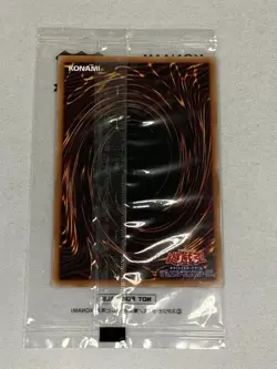 Blue-Eyes White Dragon Tokyo Dome Promo 25th Secret Rare TD02-JP001 Yugioh Card - Image 3