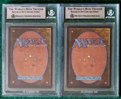Dandan - Arabian Nights - Lot Of 2 - MTG - BGS Graded 8.5. Both Cards Are Quad + - Image 2