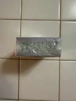 1995 Magic the Gathering: Ice Age Starter Deck [English] (Factory Sealed) - Image 4