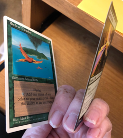 Birds of Paradise Conspiracy: Take the Crown & Birds of Paradise revised edition - Image 3