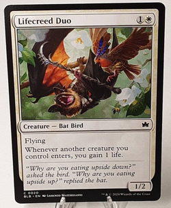 MTG - Bloomburrow - Lifecreed Duo - #0020 - Playset x4 - Near Mint - Image 1
